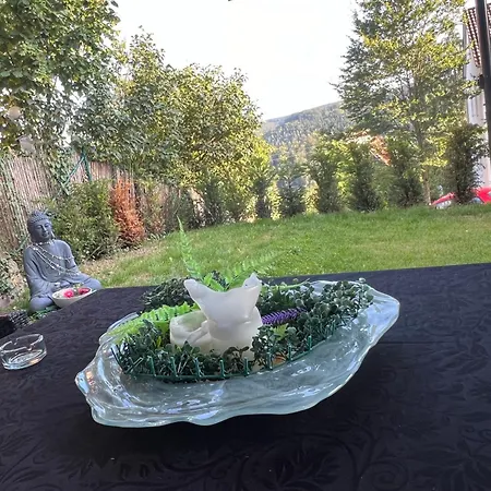 Appartement Budahome Im Schwarzwald Neuenburg (Enz)